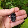 Mûre 'Asterina' BIO