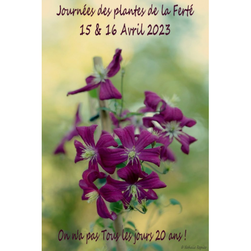 Journée des plantes rares au Chateau de la ferté (71) 